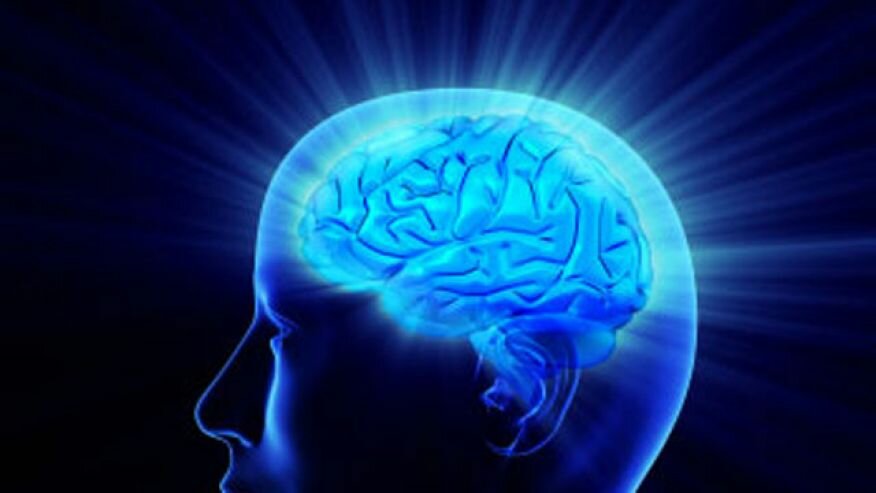 What Small Business Owners Should Know About Brain Health