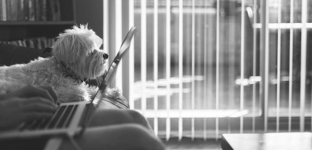 Guest Blogging 101